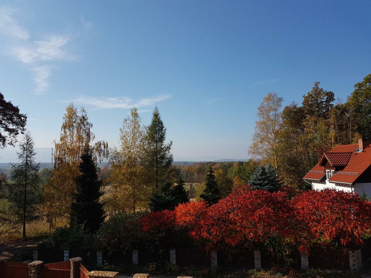 Sarna Karkonosze *