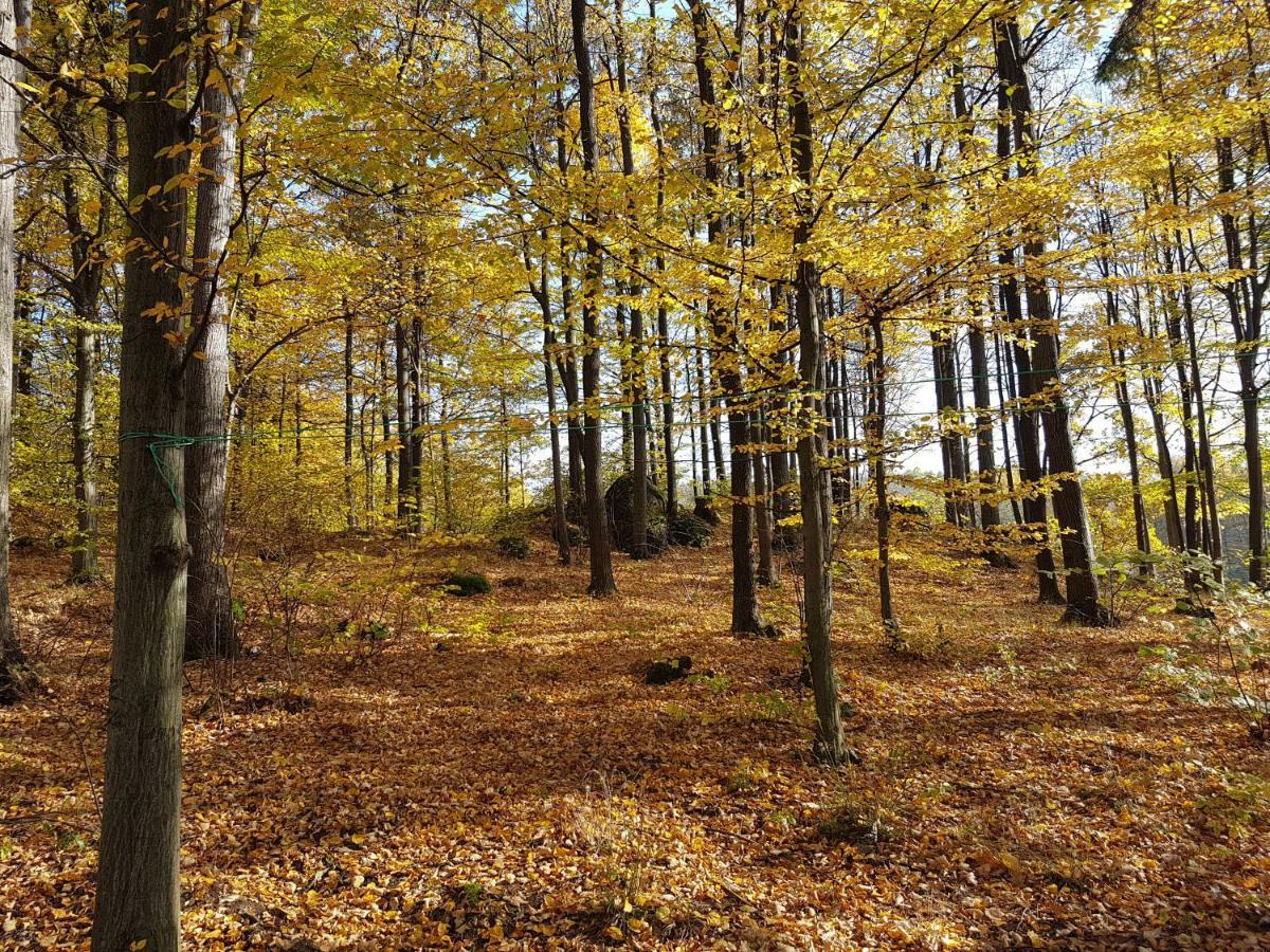 Homestay Sarna Karkonosze *