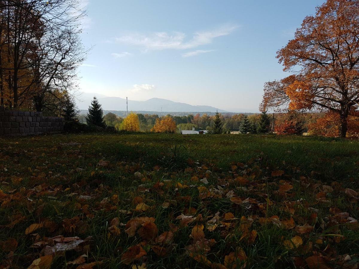 Homestay Sarna Karkonosze