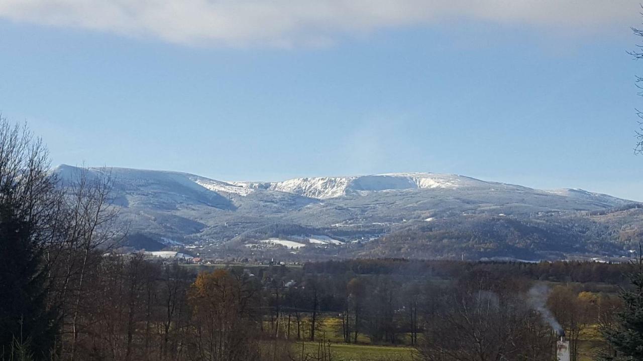 Sarna Karkonosze *