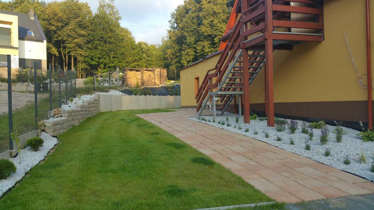Sarna Karkonosze *
