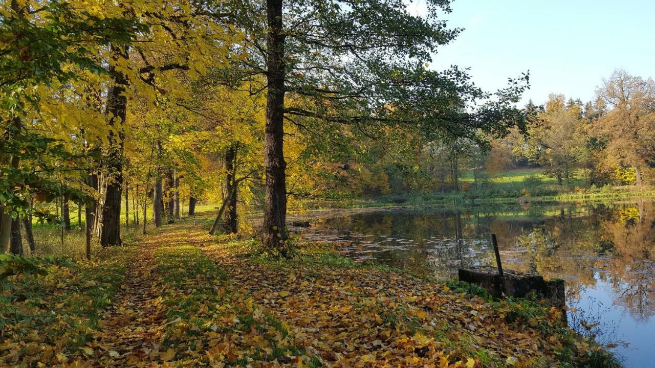 Homestay Sarna Karkonosze Bukowiec (Lower Silesia)