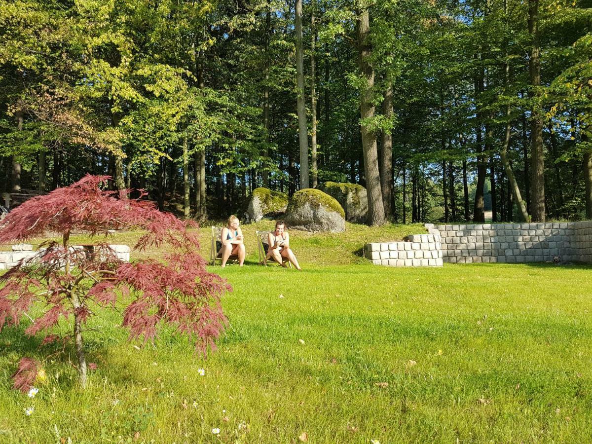 Sarna Karkonosze Homestay