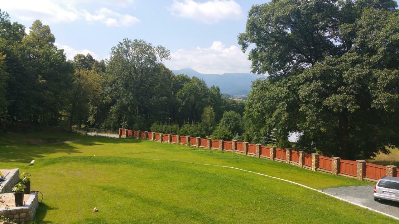 Sarna Karkonosze